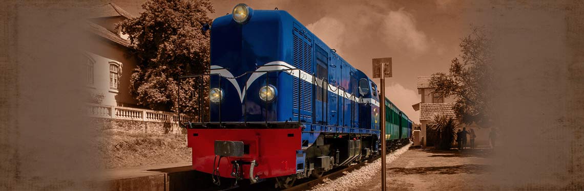 Vouga historical train
